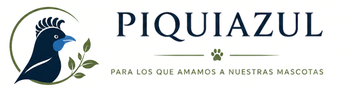 PIQUIAZUL – Inicio